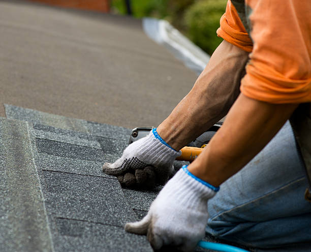 Best Residential Roof Replacement  in Haslett, MI